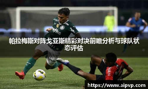 mk体育