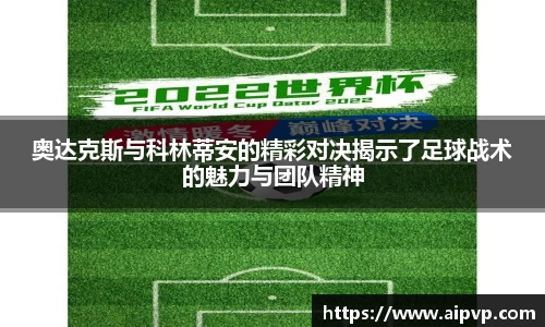 mk体育官网